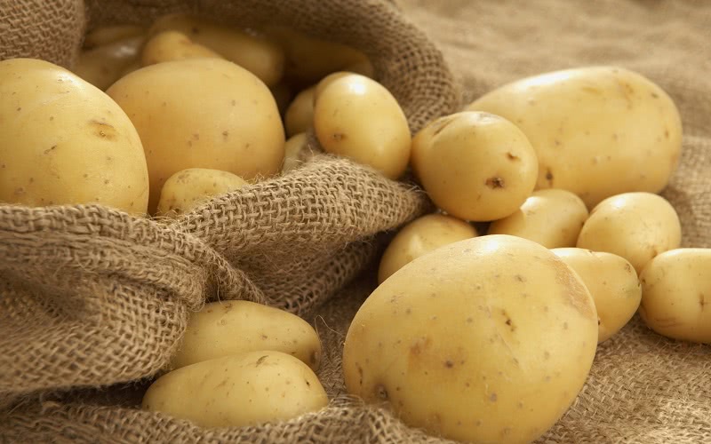 4 главных правила хранения картофеля в квартире. Забудь о гниющих клубнях!