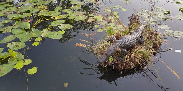 6 неймовірно красивих місць, які потрібно відвідати, поки вони не зникли