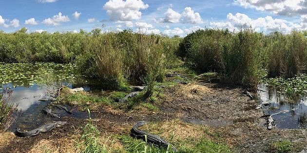 6 неймовірно красивих місць, які потрібно відвідати, поки вони не зникли