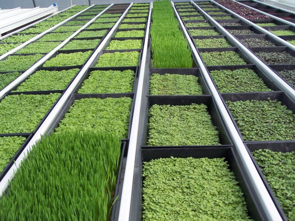 все для гидропоники