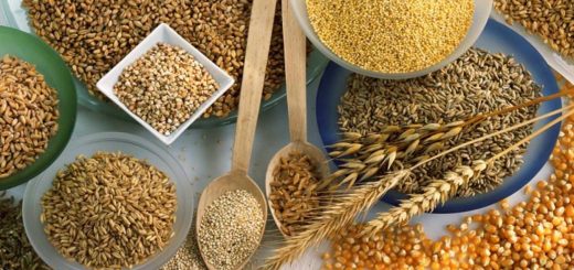 корм для домашней птицы