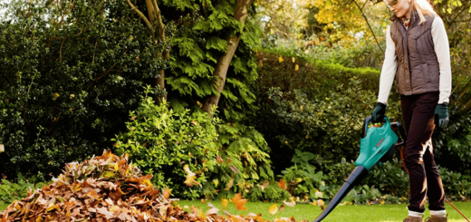 выбор садовых воздуходувок