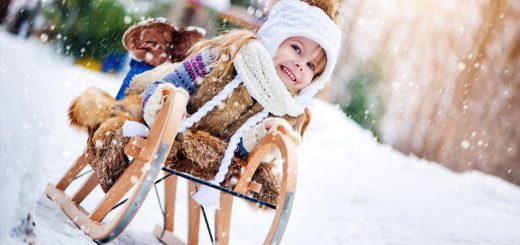 купить санки